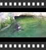 ../pictures/Akron Zoo/DSCF5015_1_small_icon.jpg